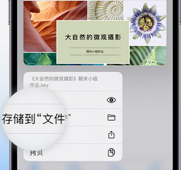 永胜apple维修中心分享iPhone文件应用中存储和找到下载文件