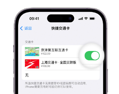 永胜apple维修点分享iPhone上更换Apple Pay快捷交通卡手绘卡面 