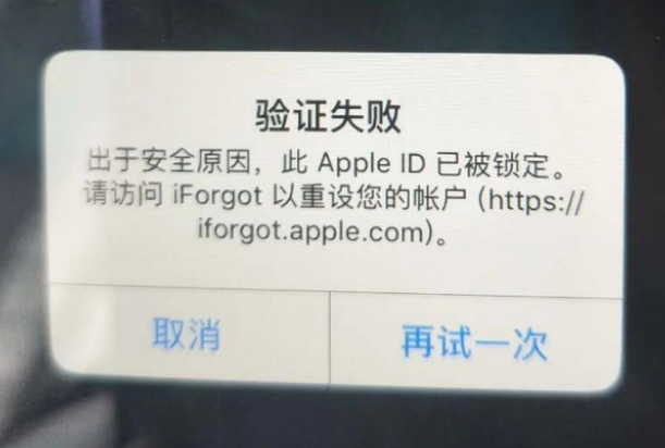 永胜iPhone维修分享iPhone上正常登录或使用AppleID怎么办 