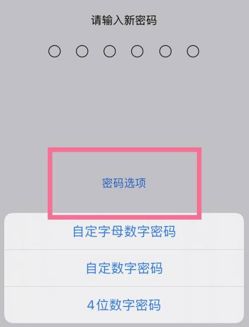 永胜苹果14维修分享iPhone 14plus设置密码的方法 