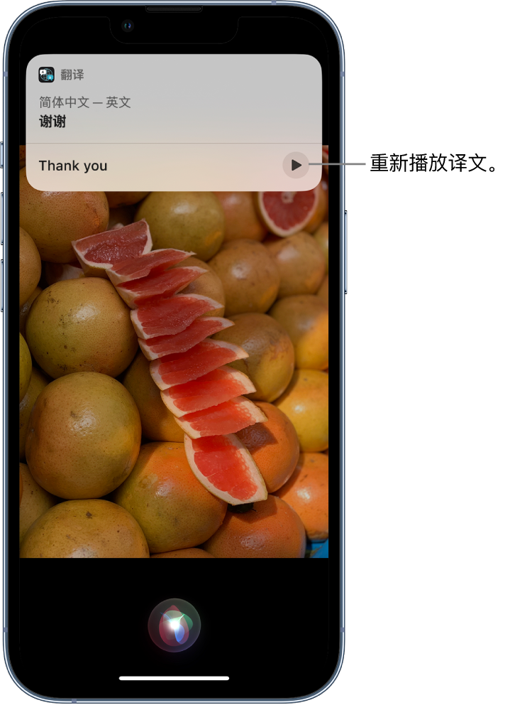 永胜苹果14维修分享 iPhone 14 机型中使用 Siri：了解 Siri 能帮你做什么 