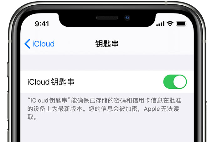 永胜苹果手机维修分享在 iPhone 上开启 iCloud 钥匙串之后会储存哪些信息 