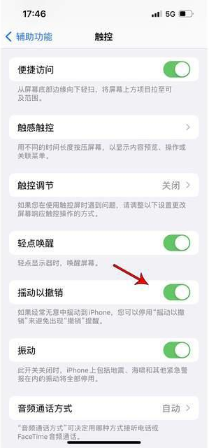 永胜苹果手机维修分享iPhone手机如何设置摇一摇删除文字 